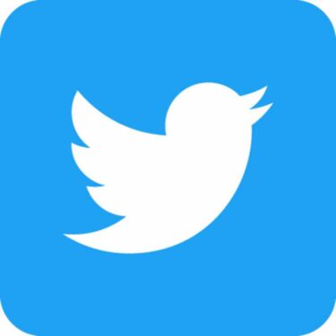 【SNS運用】ブログ初心者こそ、ブログで書いた記事を、Twitter（ツイッター）で呟くメリットが大きい。【ブログ運営】